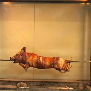 Vand porci si purcei de carne - imagine 3