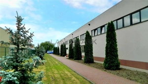 Hala industriala de vanzare, Timisoara Nord Vest - imagine 2