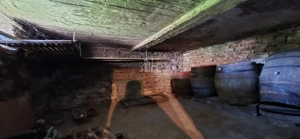 Casa de vanzare in Daia, jud Mures - imagine 13