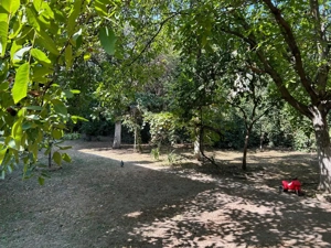 De vanzare cladire istorica in zona Baile Neptun-Traian, subsol, parter si etaj - imagine 2