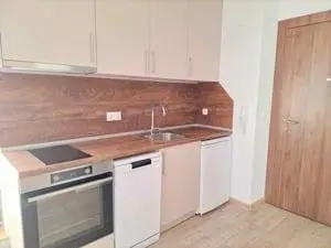 Apartament in zona Badea Cartan 190 EUR - imagine 2 Apartament in zona Badea Cartan 190 EUR - imagine 2