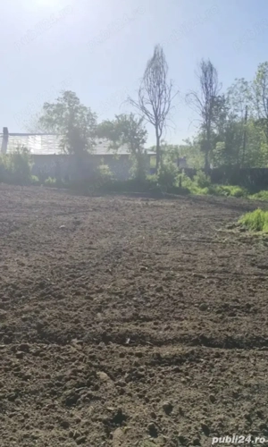 teren 1500mp  - imagine 3