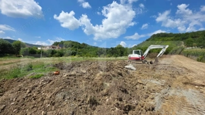 45arii Zona linistita zona linistita langa padure