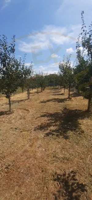 0% Comision - 2095 mp TEREN INTRAVILAN - SERBOENI ARGES - imagine 4