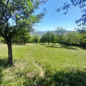 Teren extravilan Viisoara- Baholt - imagine 3