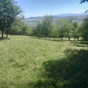 Teren extravilan Viisoara- Baholt