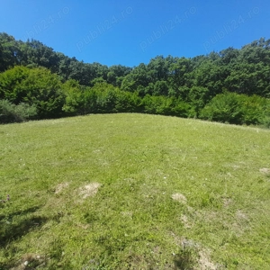 Teren extravilan Viisoara- Baholt - imagine 2