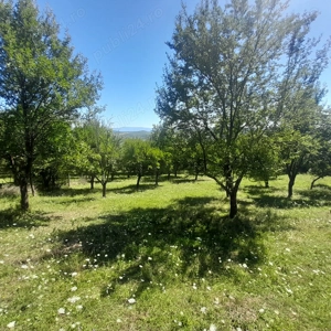 Teren extravilan Viisoara- Baholt - imagine 5