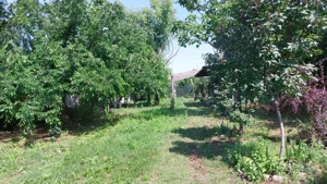 Teren intravilan ecologic  - imagine 3