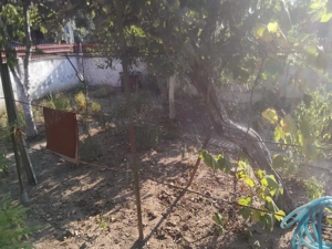 Brancoveanu, Budimex, Casa + teren  - imagine 10