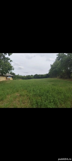 vând teren intravilan