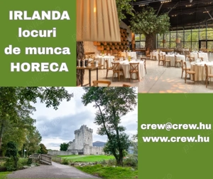 HORECA locuri de munca in Irlanda 