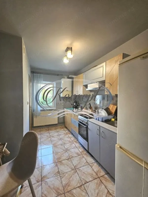 Apartament pet friendly in zona Parcului Rozelor - imagine 6