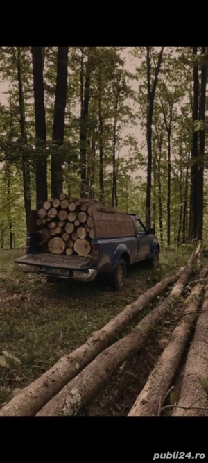 lemn de foc  - imagine 2