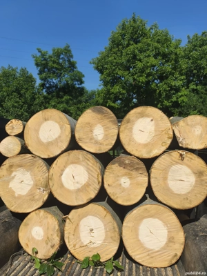 lemn de foc  - imagine 3