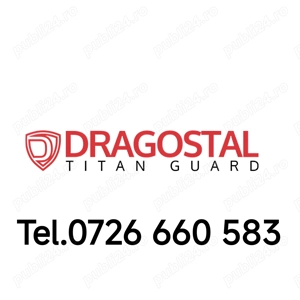 Dragostal Agent De Securitate 