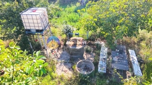 TEREN intravilan  6764 mp DRAGOMIRESTI - VAD - imagine 7