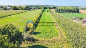 TEREN intravilan  6764 mp DRAGOMIRESTI - VAD - imagine 10