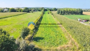 TEREN intravilan  6764 mp DRAGOMIRESTI - VAD