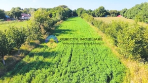 TEREN intravilan  6764 mp DRAGOMIRESTI - VAD - imagine 8