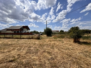 Vând proprietate în Sântandrei, 2800 mp - imagine 3