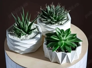 Matrite din silicon  pentru ghivece fe suculente și cactuși 