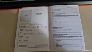 catel yorkshire terierr - imagine 4 catel yorkshire terierr - imagine 4