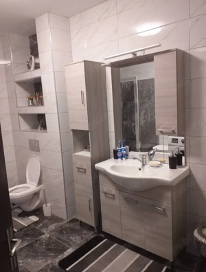 Casa tip vilă, aproape de Mănăstirea Bârsana  - imagine 5