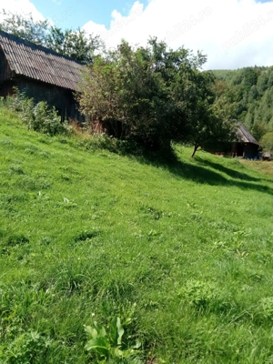 Teren și casa de vânzare Muntele Rece Cluj  - imagine 2