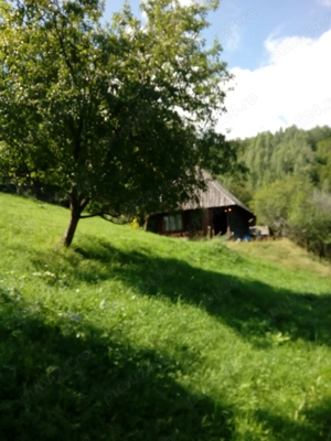 Teren și casa de vânzare Muntele Rece Cluj 