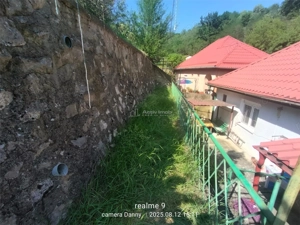 Resita Casa Zona Gradina Zoologica - imagine 5