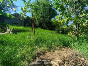 Resita Casa Zona Gradina Zoologica - imagine 9