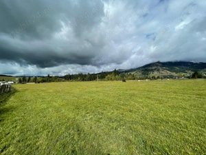 Teren de vânzare   Comuna Dorna Candrenilor - imagine 2