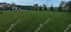 Teren de 1500 mp cu 2 deschideri de 50 si 30 metri in Cisnadie Sibiu - imagine 2 Teren de 1500 mp cu 2 deschideri de 50 si 30 metri in Cisnadie Sibiu - imagine 2