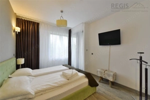 Apartament confortabil 3 cam Silver Mountain - imagine 5