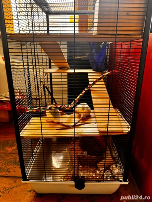 Rozatoare mici de companie cu cusca  - imagine 2