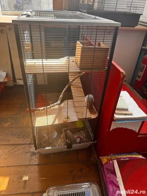 Rozatoare mici de companie cu cusca 