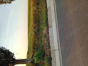 Teren Vânzare Dumesti