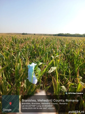 Vînd teren arabil extravilan! - imagine 3