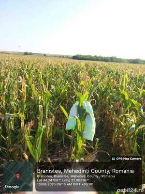 Vînd teren arabil extravilan! - imagine 2