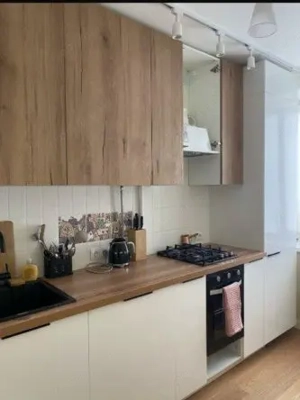 De inchiriat apartament 1 camera in zona Elisabetin - imagine 3