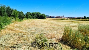 Teren de 4000 mp intravilan in Cristian