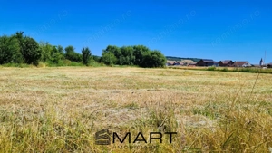 Teren de 4000 mp intravilan in Cristian - imagine 2