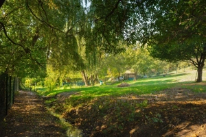 Teren Extravilan/Intravilan 3290 mp Codlea - imagine 7