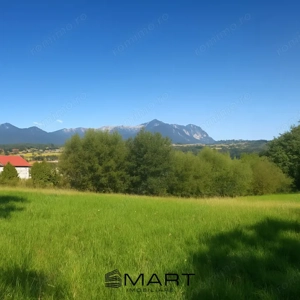 Teren intravilan 4200 mp Tohanu Nou - imagine 2