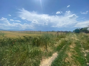 Teren  intravilan cu PUZ 30.000 mp Prejmer - imagine 7