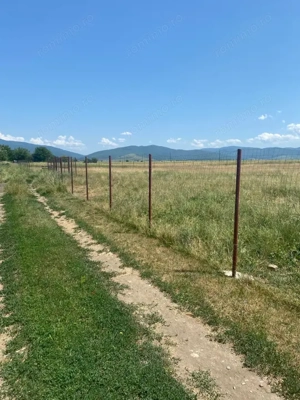 Teren  intravilan cu PUZ 30.000 mp Prejmer - imagine 4