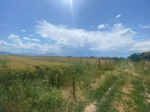 Teren  intravilan cu PUZ 30.000 mp Prejmer - imagine 6