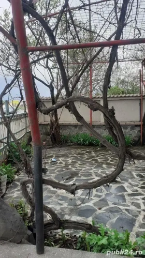 Spatiu Comercial 300 mp DN 13  - imagine 11