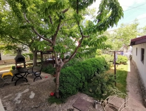 Constanta, Lazu, vila 5 camere, p+1, 360mp cu gradina deosebita - imagine 4